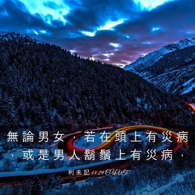 Picture 03 - 利 未 記 13:29 CUVT - 無 論 男 女 ， 若 在 頭 上 有 災 病 - Bible Verse Picture