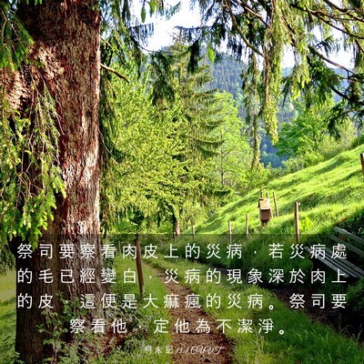 Picture 03 - 利 未 記 13:3 CUVT - 祭 司 要 察 看 肉 皮 上 的 災 病 ， - Bible Verse Picture