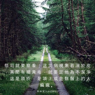 Picture 03 - 利 未 記 13:30 CUVT - 祭 司 就 要 察 看 ； 這 災 病 現 象 - Bible Verse Picture
