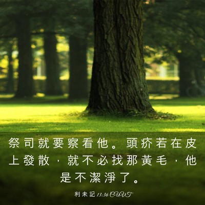 Picture 03 - 利 未 記 13:36 CUVT - 祭 司 就 要 察 看 他 。 頭 疥 若 在 - Bible Verse Picture