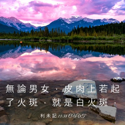 Picture 03 - 利 未 記 13:38 CUVT - 無 論 男 女 ， 皮 肉 上 若 起 了 火 - Bible Verse Picture