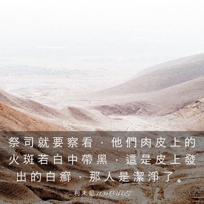 Picture 03 - 利 未 記 13:39 CUVT - 祭 司 就 要 察 看 ， 他 們 肉 皮 上 - Bible Verse Picture