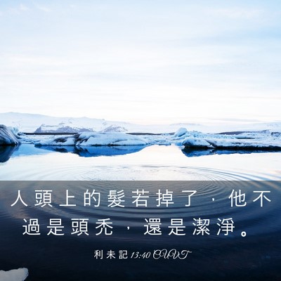 Picture 03 - 利 未 記 13:40 CUVT - 人 頭 上 的 髮 若 掉 了 ， 他 不 過 - Bible Verse Picture