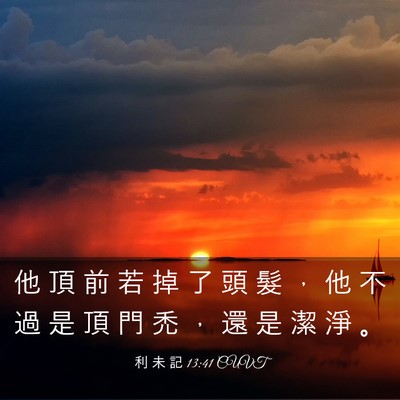 Picture 03 - 利 未 記 13:41 CUVT - 他 頂 前 若 掉 了 頭 髮 ， 他 不 過 - Bible Verse Picture