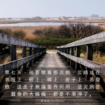 Picture 03 - 利 未 記 13:51 CUVT - 第 七 天 ， 他 要 察 看 那 災 病 ， - Bible Verse Picture