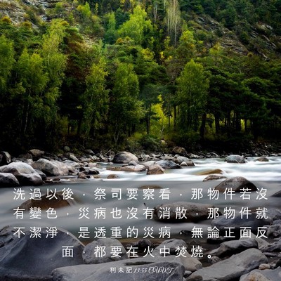 Picture 03 - 利 未 記 13:55 CUVT - 洗 過 以 後 ， 祭 司 要 察 看 ， 那 - Bible Verse Picture