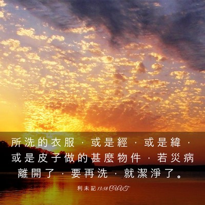 Picture 03 - 利 未 記 13:58 CUVT - 所 洗 的 衣 服 ， 或 是 經 ， 或 是 - Bible Verse Picture