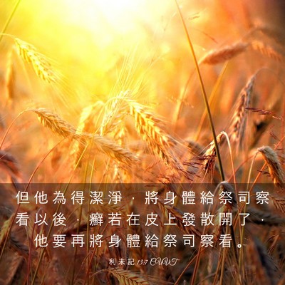 Picture 03 - 利 未 記 13:7 CUVT - 但 他 為 得 潔 淨 ， 將 身 體 給 祭 - Bible Verse Picture