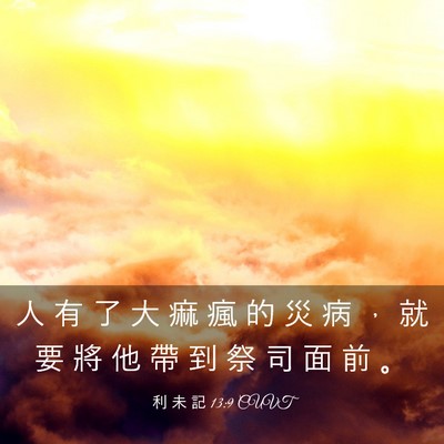 Picture 03 - 利 未 記 13:9 CUVT - 人 有 了 大 痲 瘋 的 災 病 ， 就 要 - Bible Verse Picture