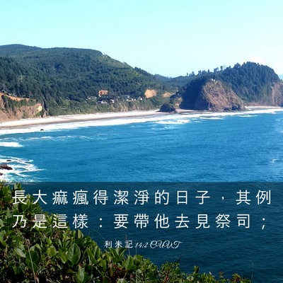 Picture 03 - 利 未 記 14:2 CUVT - 長 大 痲 瘋 得 潔 淨 的 日 子 ， 其 - Bible Verse Picture