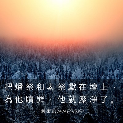 Picture 03 - 利 未 記 14:20 CUVT - 把 燔 祭 和 素 祭 獻 在 壇 上 ， 為 - Bible Verse Picture