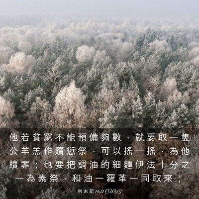Picture 03 - 利 未 記 14:21 CUVT - 他 若 貧 窮 不 能 預 備 夠 數 ， 就 - Bible Verse Picture