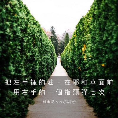 Picture 03 - 利 未 記 14:27 CUVT - 把 左 手 裡 的 油 ， 在 耶 和 華 面 - Bible Verse Picture