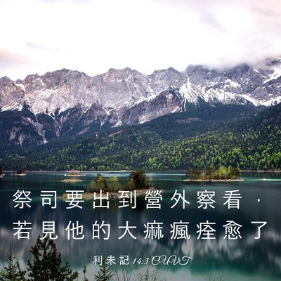 Picture 03 - 利 未 記 14:3 CUVT - 祭 司 要 出 到 營 外 察 看 ， 若 見 - Bible Verse Picture
