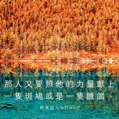 Picture 03 - 利 未 記 14:30 CUVT - 那 人 又 要 照 他 的 力 量 獻 上 一 - Bible Verse Picture
