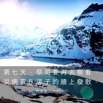 Picture 03 - 利 未 記 14:39 CUVT - 第 七 天 ， 祭 司 要 再 去 察 看 ， - Bible Verse Picture