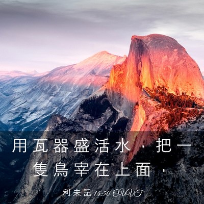 Picture 03 - 利 未 記 14:50 CUVT - 用 瓦 器 盛 活 水 ， 把 一 隻 鳥 宰 - Bible Verse Picture