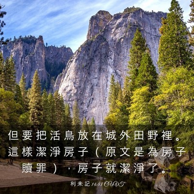 Picture 03 - 利 未 記 14:53 CUVT - 但 要 把 活 鳥 放 在 城 外 田 野 裡 - Bible Verse Picture