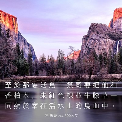 Picture 03 - 利 未 記 14:6 CUVT - 至 於 那 隻 活 鳥 ， 祭 司 要 把 他 - Bible Verse Picture