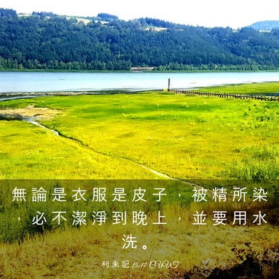 Picture 03 - 利 未 記 15:17 CUVT - 無 論 是 衣 服 是 皮 子 ， 被 精 所 - Bible Verse Picture