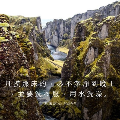 Picture 03 - 利 未 記 15:5 CUVT - 凡 摸 那 床 的 ， 必 不 潔 淨 到 晚 - Bible Verse Picture
