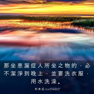 Picture 03 - 利 未 記 15:6 CUVT - 那 坐 患 漏 症 人 所 坐 之 物 的 ， - Bible Verse Picture