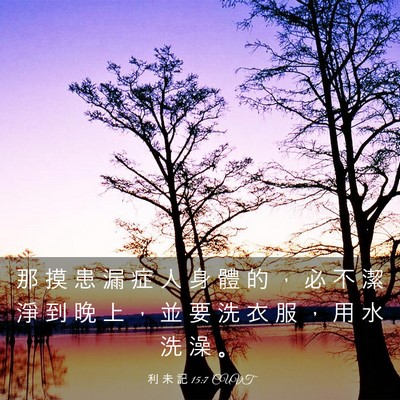 Picture 03 - 利 未 記 15:7 CUVT - 那 摸 患 漏 症 人 身 體 的 ， 必 不 - Bible Verse Picture