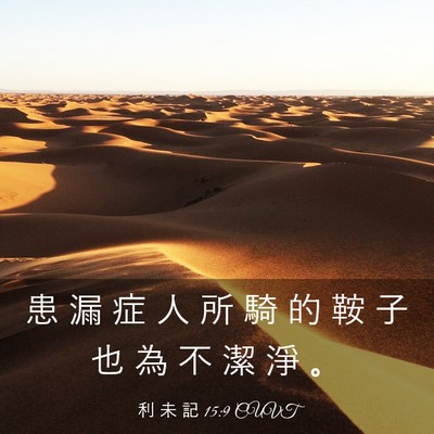 Picture 03 - 利 未 記 15:9 CUVT - 患 漏 症 人 所 騎 的 鞍 子 也 為 不 - Bible Verse Picture