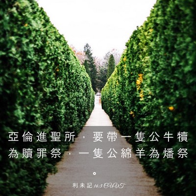 Picture 03 - 利 未 記 16:3 CUVT - 亞 倫 進 聖 所 ， 要 帶 一 隻 公 牛 - Bible Verse Picture