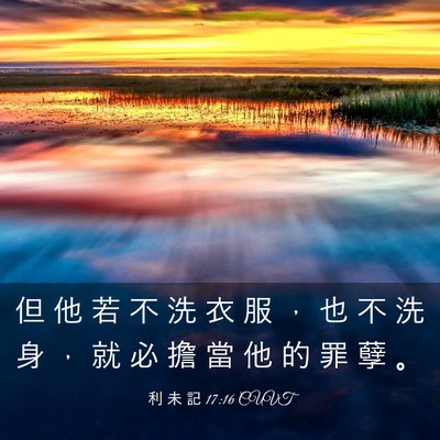 Picture 03 - 利 未 記 17:16 CUVT - 但 他 若 不 洗 衣 服 ， 也 不 洗 身 - Bible Verse Picture