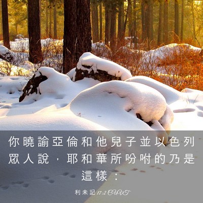 Picture 03 - 利 未 記 17:2 CUVT - 你 曉 諭 亞 倫 和 他 兒 子 並 以 色 - Bible Verse Picture