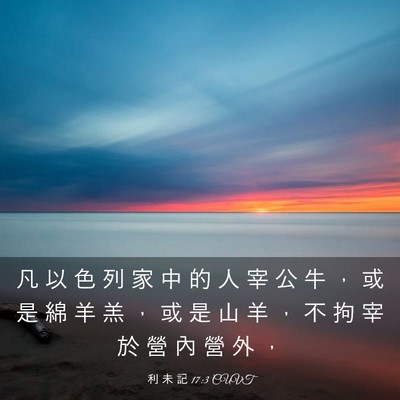 Picture 03 - 利 未 記 17:3 CUVT - 凡 以 色 列 家 中 的 人 宰 公 牛 ， - Bible Verse Picture