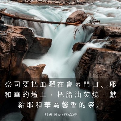 Picture 03 - 利 未 記 17:6 CUVT - 祭 司 要 把 血 灑 在 會 幕 門 口 、 - Bible Verse Picture