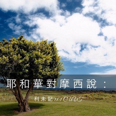 Picture 03 - 利 未 記 18:1 CUVT - 耶 和 華 對 摩 西 說 - Bible Verse Picture