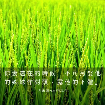 Picture 03 - 利 未 記 18:18 CUVT - 你 妻 還 在 的 時 候 ， 不 可 另 娶 - Bible Verse Picture