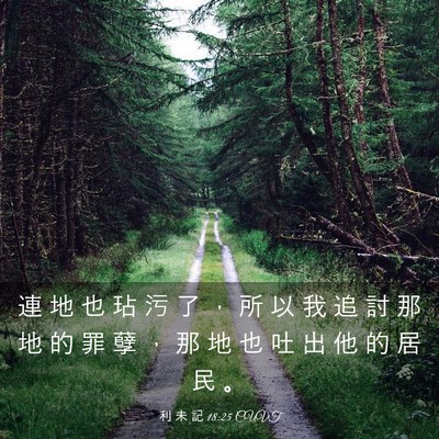 Picture 03 - 利 未 記 18:25 CUVT - 連 地 也 玷 污 了 ， 所 以 我 追 討 - Bible Verse Picture