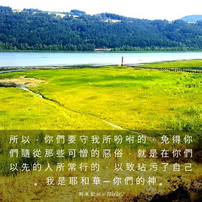 Picture 03 - 利 未 記 18:30 CUVT - 所 以 ， 你 們 要 守 我 所 吩 咐 的 - Bible Verse Picture