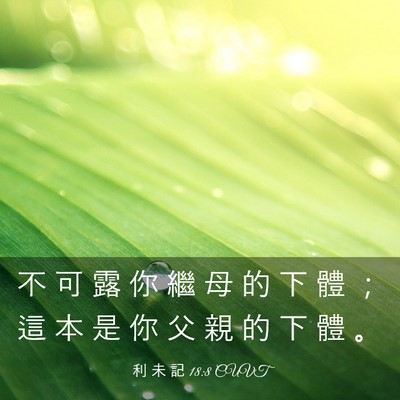Picture 03 - 利 未 記 18:8 CUVT - 不 可 露 你 繼 母 的 下 體 ； 這 本 - Bible Verse Picture