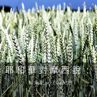 Picture 03 - 利 未 記 19:1 CUVT - 耶 和 華 對 摩 西 說 - Bible Verse Picture
