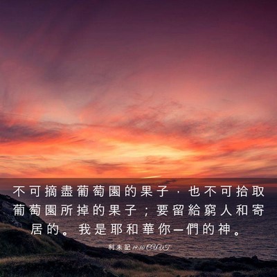Picture 03 - 利 未 記 19:10 CUVT - 不 可 摘 盡 葡 萄 園 的 果 子 ， 也 - Bible Verse Picture