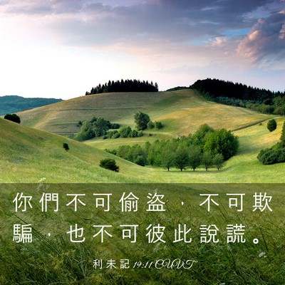 Picture 03 - 利 未 記 19:11 CUVT - 你 們 不 可 偷 盜 ， 不 可 欺 騙 ， - Bible Verse Picture