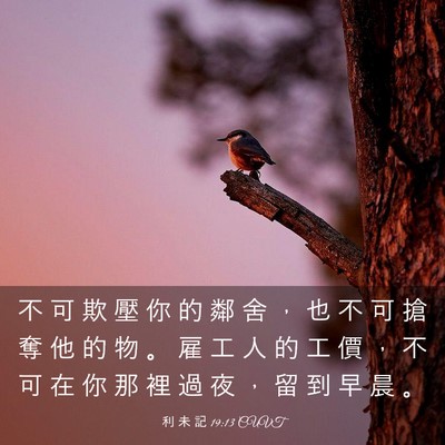 Picture 03 - 利 未 記 19:13 CUVT - 不 可 欺 壓 你 的 鄰 舍 ， 也 不 可 - Bible Verse Picture