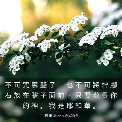 Picture 03 - 利 未 記 19:14 CUVT - 不 可 咒 罵 聾 子 ， 也 不 可 將 絆 - Bible Verse Picture