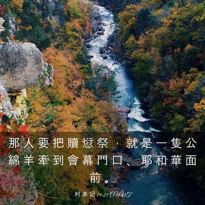 Picture 03 - 利 未 記 19:21 CUVT - 那 人 要 把 贖 愆 祭 ， 就 是 一 隻 - Bible Verse Picture