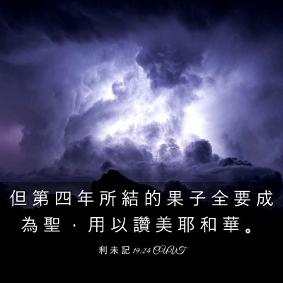 Picture 03 - 利 未 記 19:24 CUVT - 但 第 四 年 所 結 的 果 子 全 要 成 - Bible Verse Picture