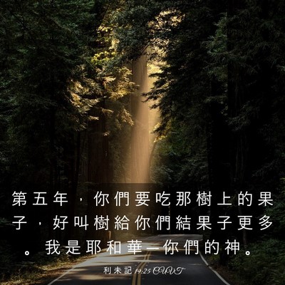 Picture 03 - 利 未 記 19:25 CUVT - 第 五 年 ， 你 們 要 吃 那 樹 上 的 - Bible Verse Picture