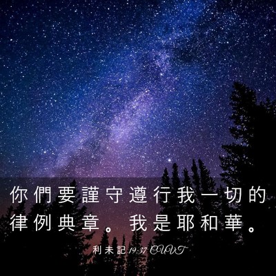 Picture 03 - 利 未 記 19:37 CUVT - 你 們 要 謹 守 遵 行 我 一 切 的 律 - Bible Verse Picture