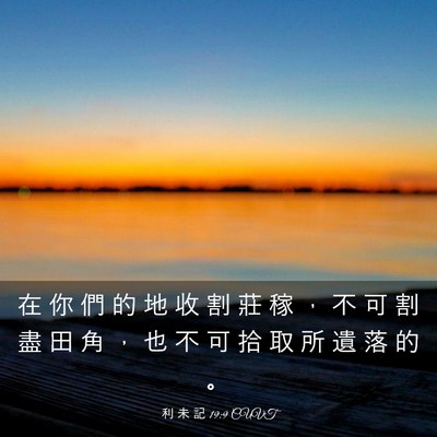 Picture 03 - 利 未 記 19:9 CUVT - 在 你 們 的 地 收 割 莊 稼 ， 不 可 - Bible Verse Picture