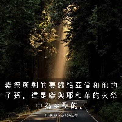 Picture 03 - 利 未 記 2:10 CUVT - 素 祭 所 剩 的 要 歸 給 亞 倫 和 他 - Bible Verse Picture