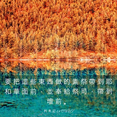 Picture 03 - 利 未 記 2:8 CUVT - 要 把 這 些 東 西 做 的 素 祭 帶 到 - Bible Verse Picture
